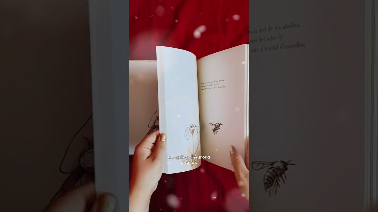 Dia 21 - Calendari d'advent #ParauladeMixa 2025 de Paraula de Mixa