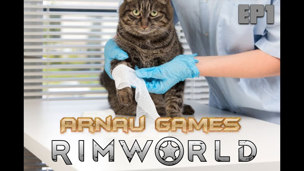 RimWorld Primer (i únic per un temps) episodi: Tobi! Noooo! de Arnau Games