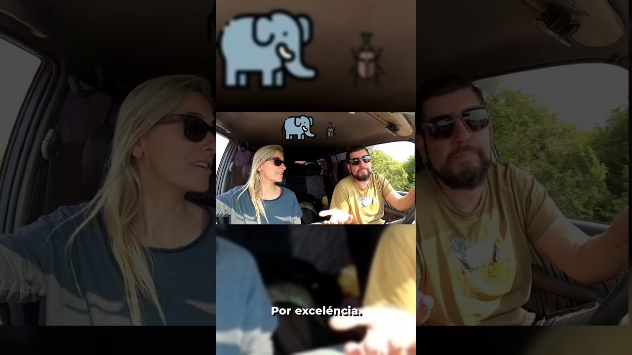 El Regne dels Elefants!!! #shorts de ONtravelling