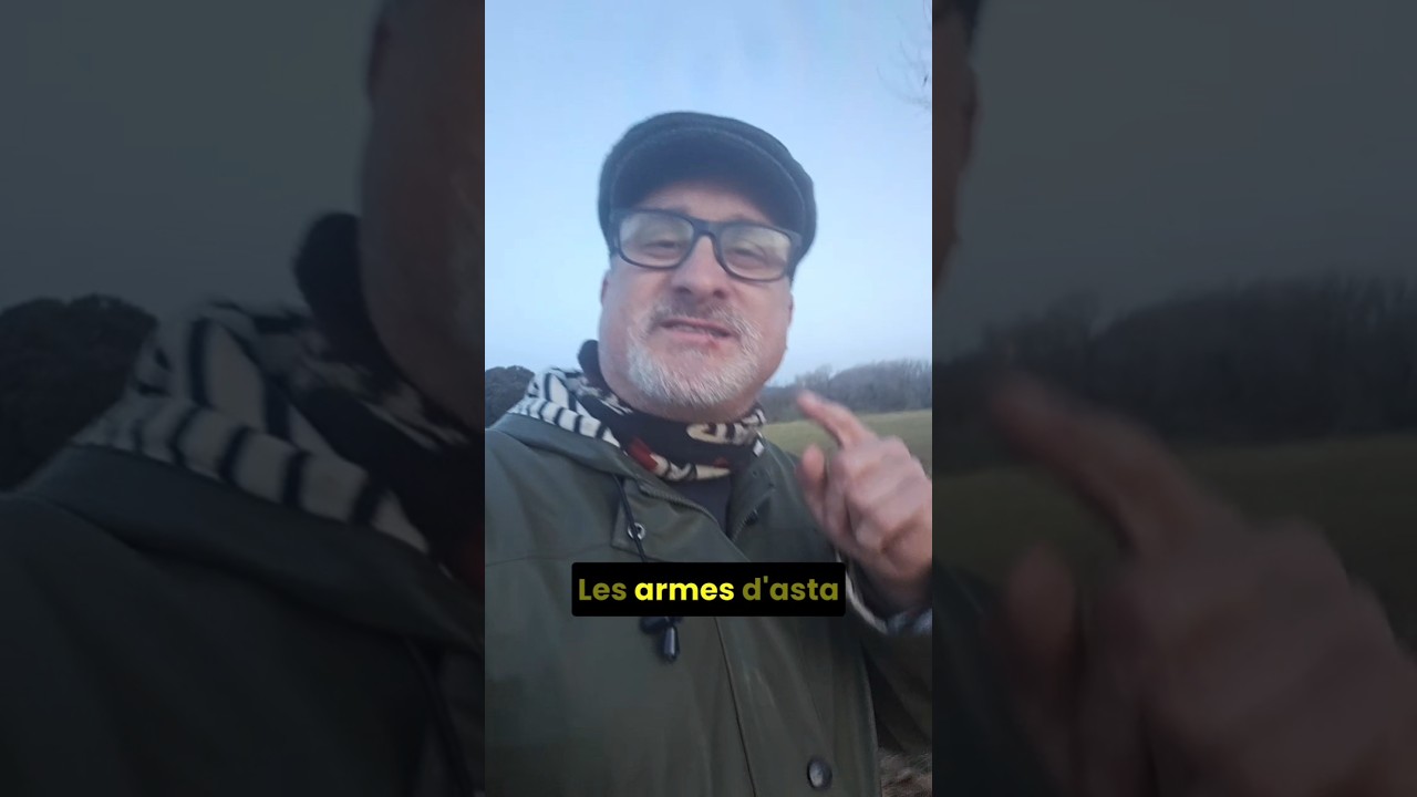 Les armes d'asta. #rolràpid #rolencatalà #jdr #jocsderol #vocabulari de Rol Ràpid