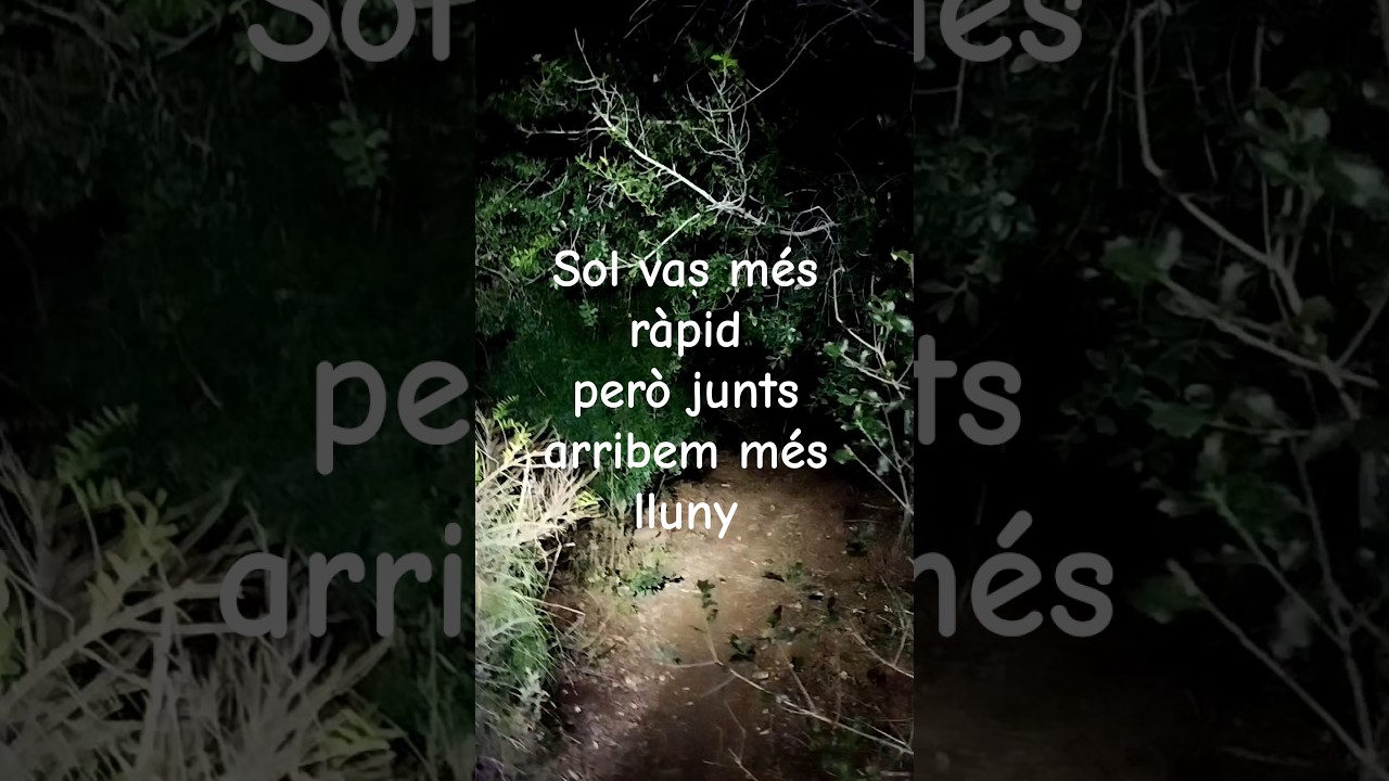 Som maleducats perquè correm sols de Esteve Rovira