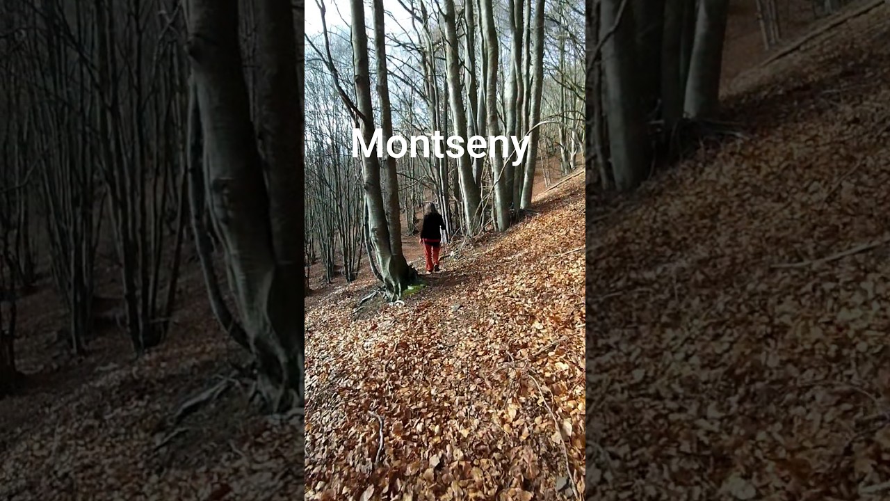 Montseny | El millor lloc per començar l'any de Esteve Rovira