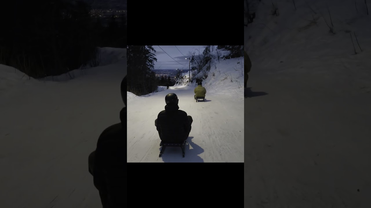 🛷EDIT de Trineus per OSLO de Fliprex57