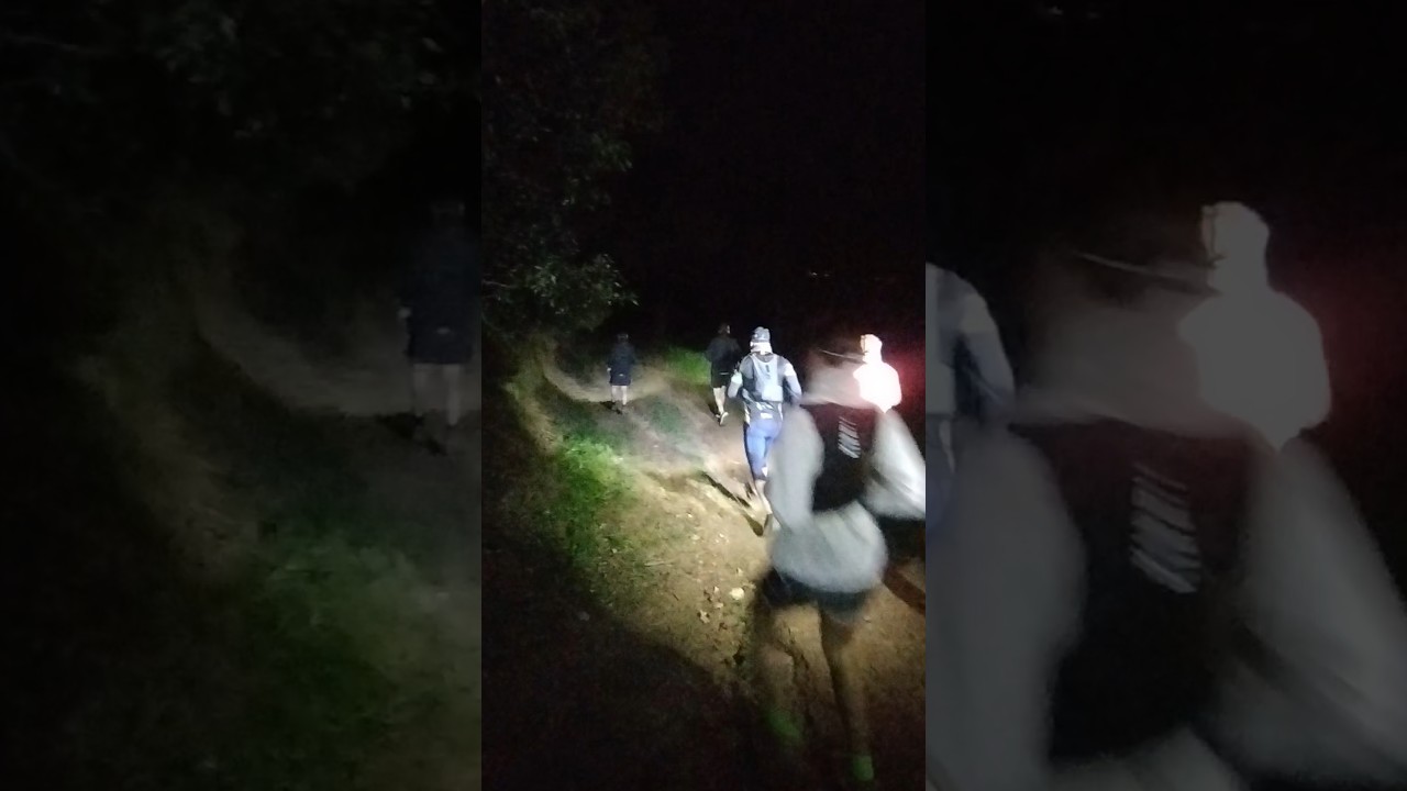 MANTRA, Ho estàs fent bé, molt bé de Esteve Rovira