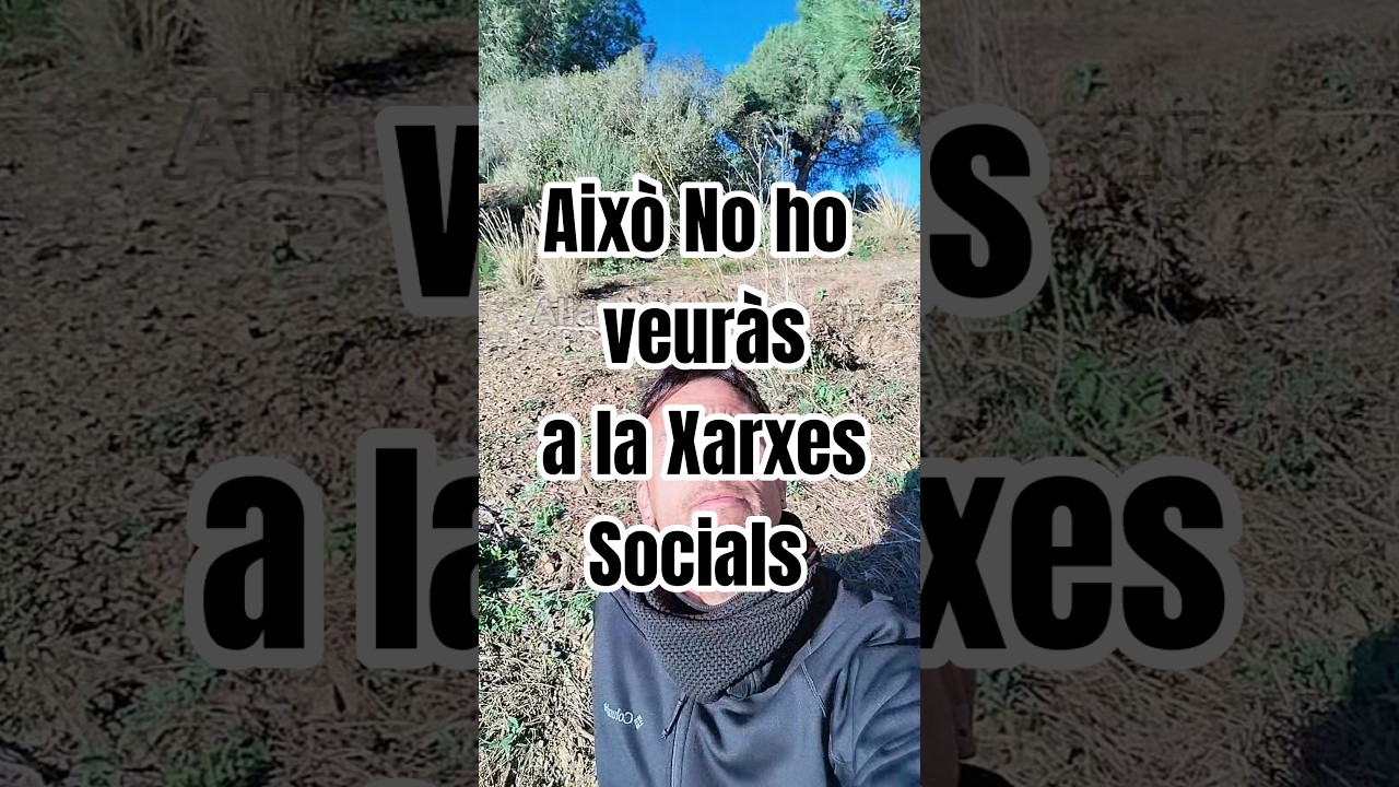 Fracàs a la Mitja de Barcelona? de Esteve Rovira