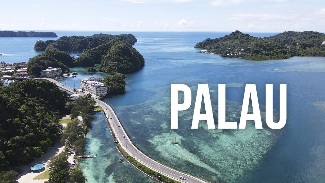 PALAU, un tresor a Micronèsia | VOLA I VIU de VOLA I VIU