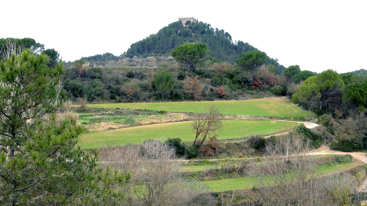 Balsareny passejada de Lluís Fernàndez López