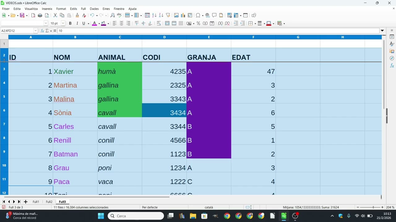 Com donar format i canviar l'aspecte d'un full de càlcul de Libreoffice Calc de Xavier Àgueda COMPETIC