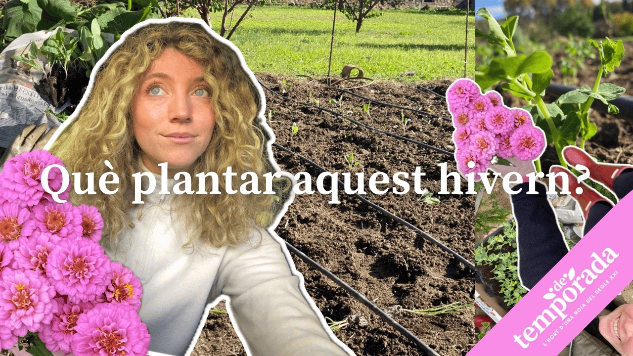 AIXÍ preparo el meu HORT D'HIVERN 🌱 | Terreny i plantació 🚜 de Natàlia Möller