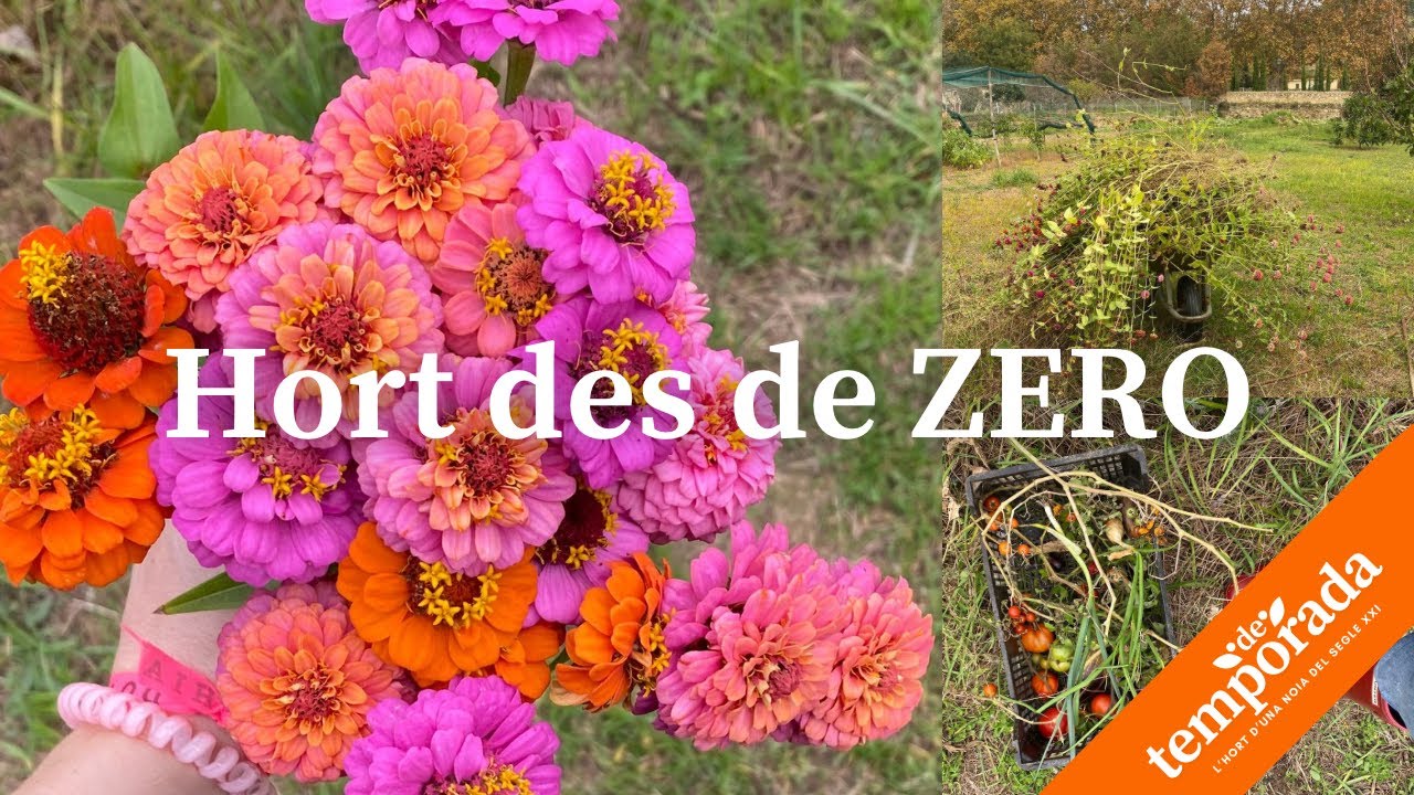 Començant l’hort des de ZERO 🌱 | Planificació d’hivern PAS A PAS 🌟 de Natàlia Möller