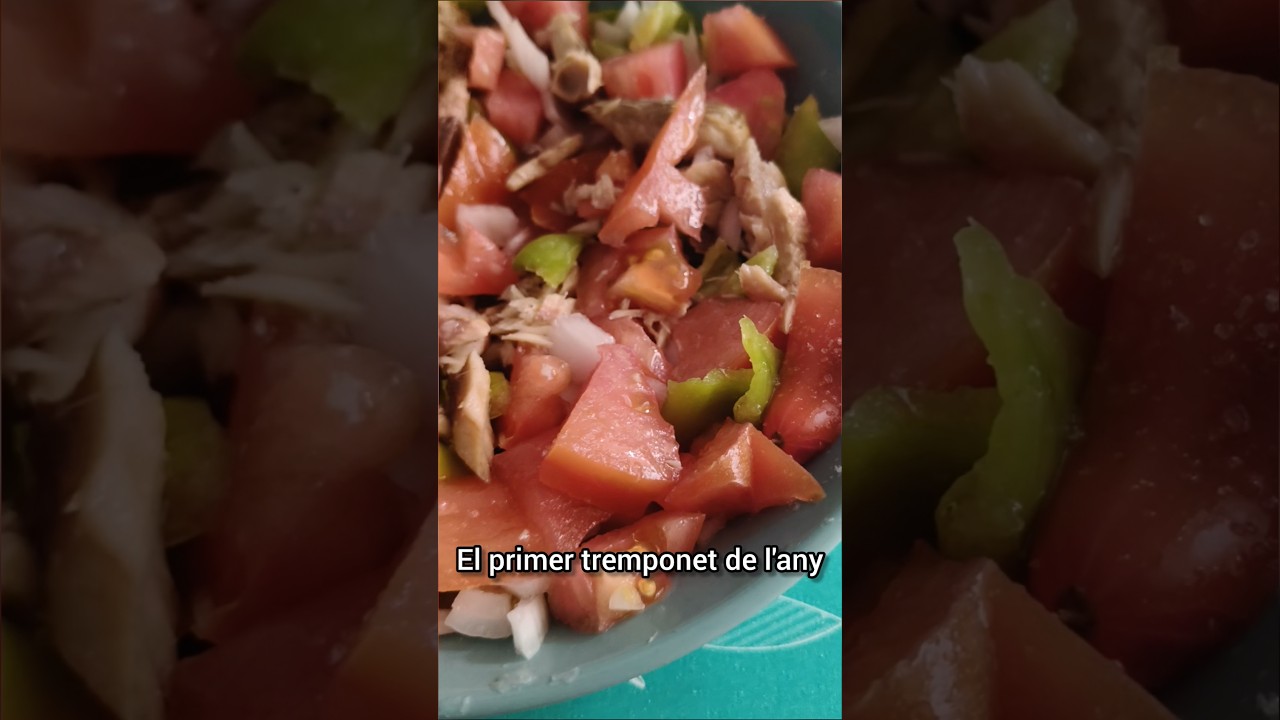 Un dels millors moments que viu un mallorquí de soca-rel de Àngel Aguiló Palou