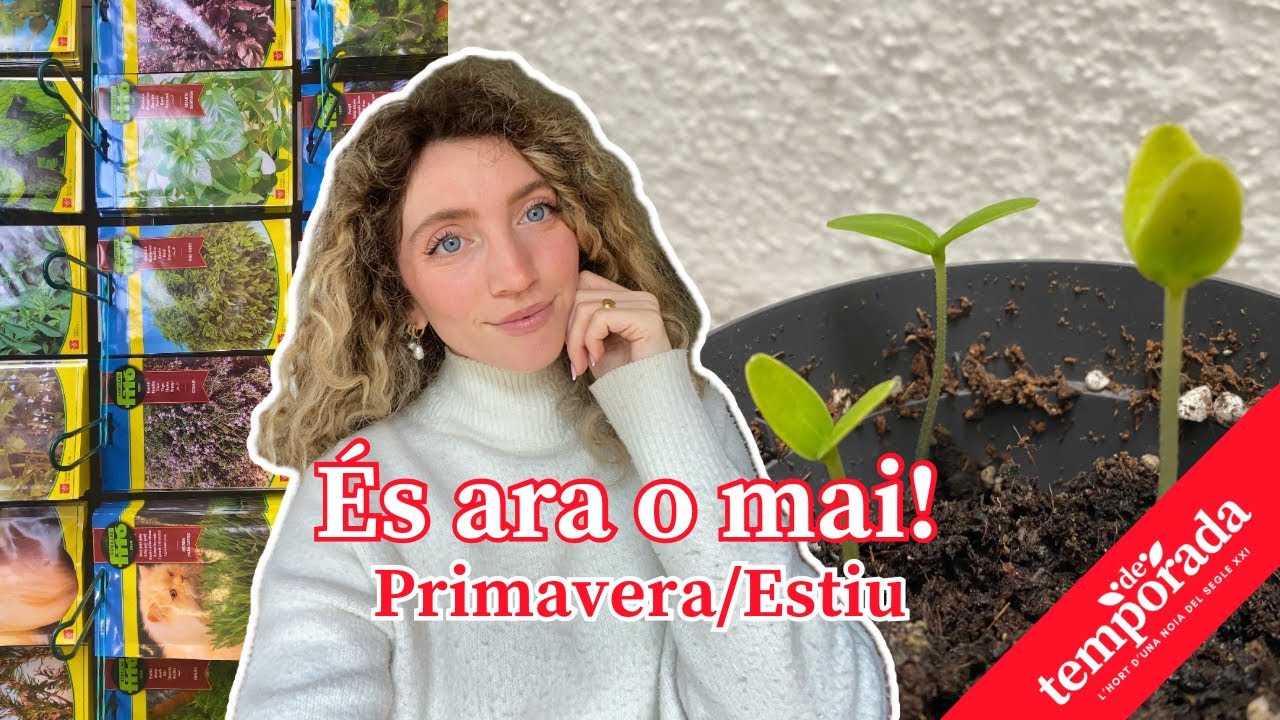 Què plantar ara per tenir verdures i fruites tot l’estiu? 🫐🍋🍉 Planter PAS a PAS de Natàlia Möller