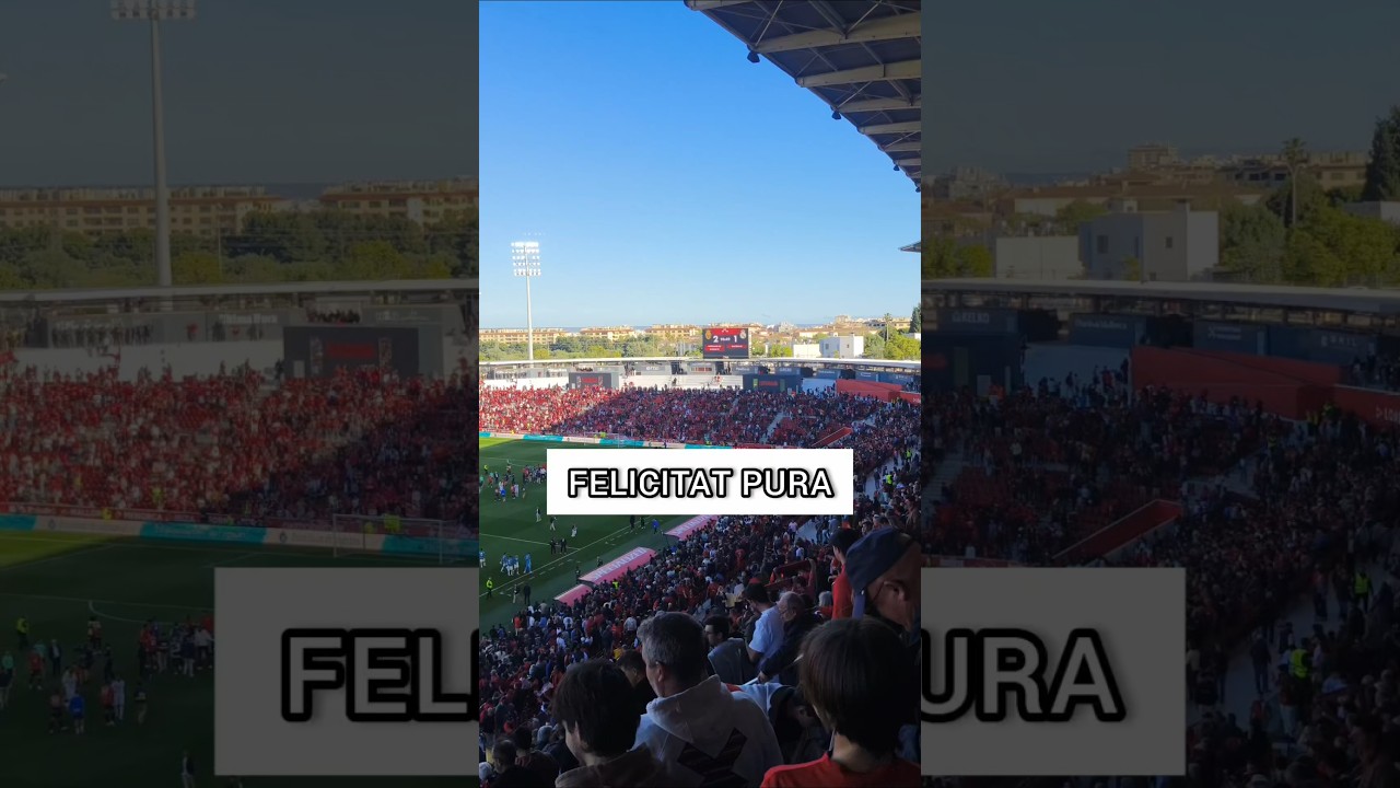 La crònica de Mallorca - Madrid que esperaves de Àngel Aguiló Palou