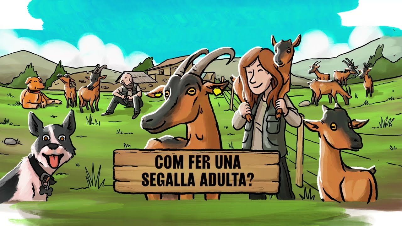 Com fer una segalla adulta? de PEYU