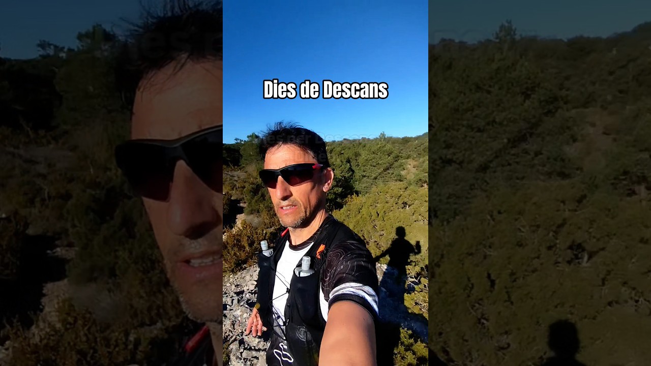 Dies de Descans de Esteve Rovira