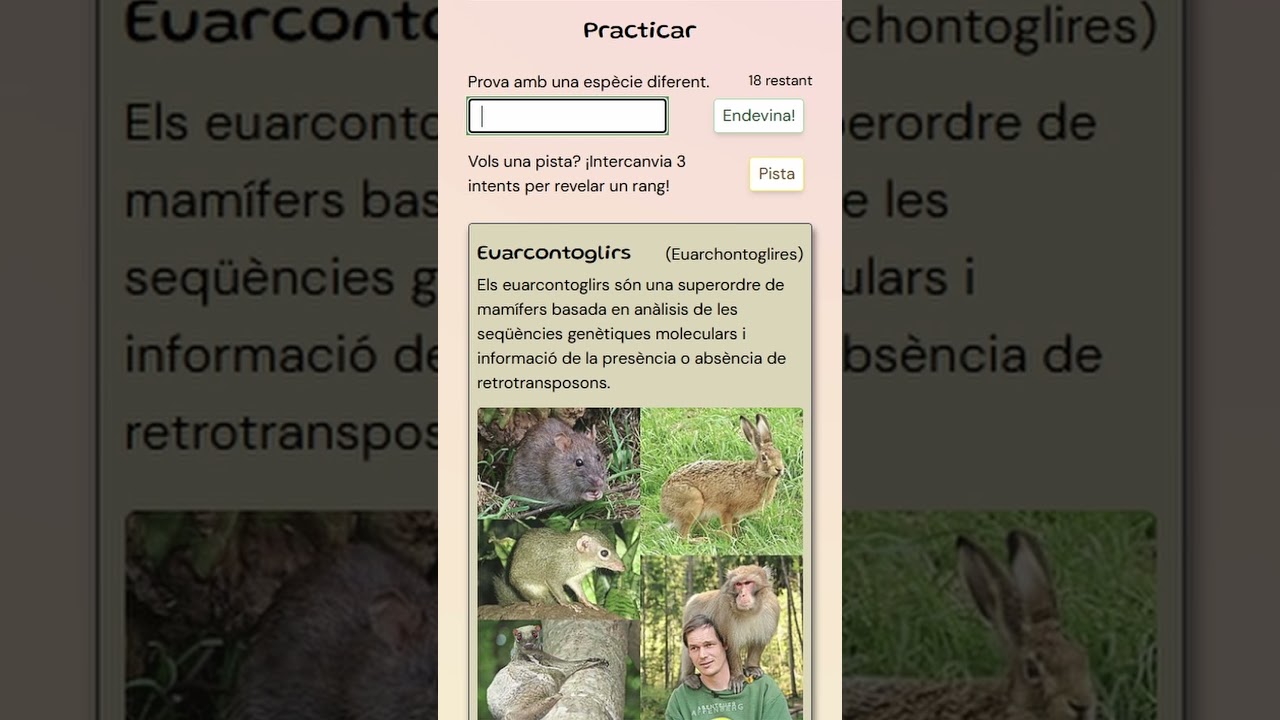 Juga a això si ets un friki dels Animals #metazoa #animals #catala #biologia #català de Rimbowling