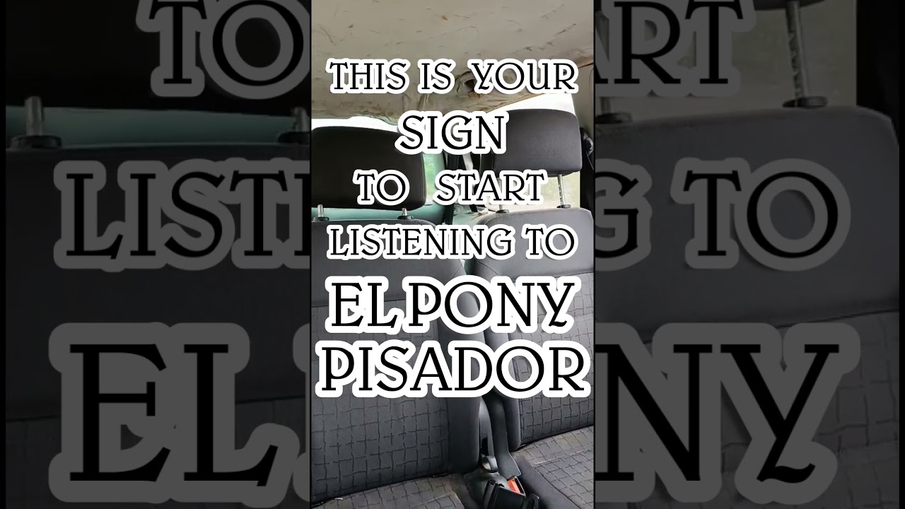 Hem decidit ser TRANSPARENTS de El Pony Pisador