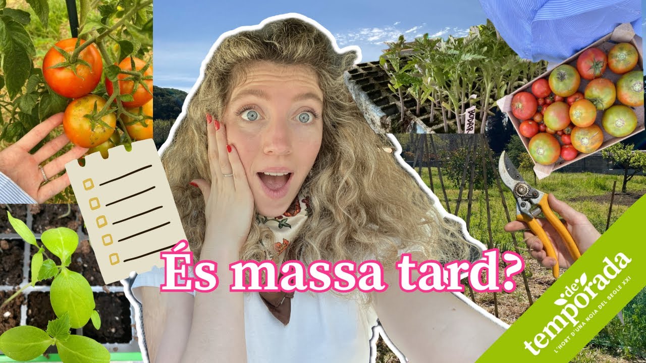Imprescindibles per l’hort d’ESTIU☀️🍅💦 de Natàlia Möller