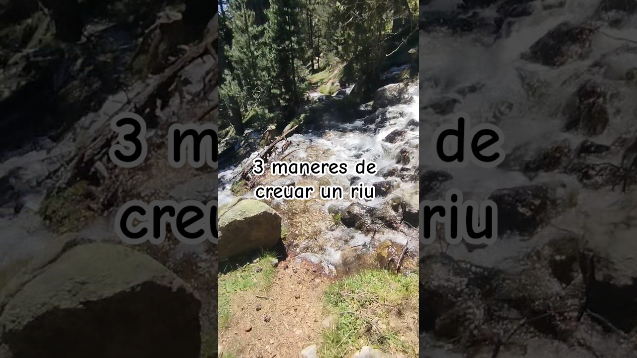 Mullar-se o No mullar-se aquesta és la qüestió de Esteve Rovira