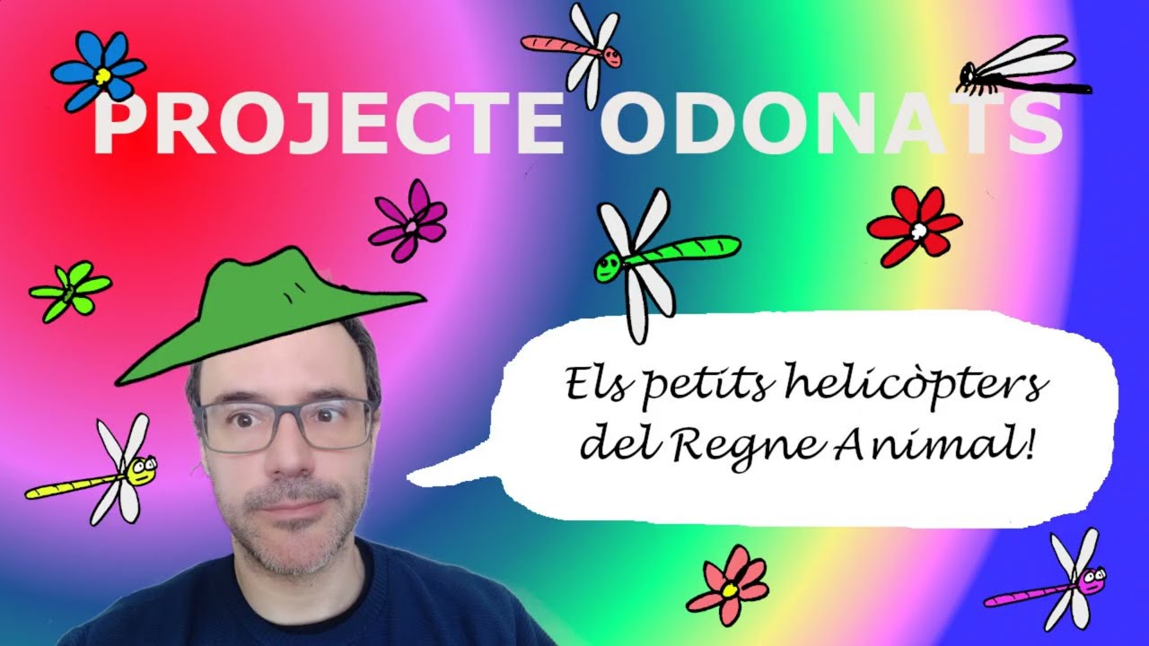 Exemple de vídeo resultat del projecte de COMPETIC 3 C5 del curs 25-26 de Xavier Àgueda COMPETIC