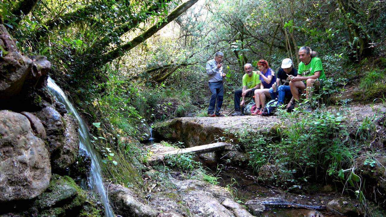 EL CASTELLÓ DE CASTELLAR del Vallès de Lluís Fernàndez López