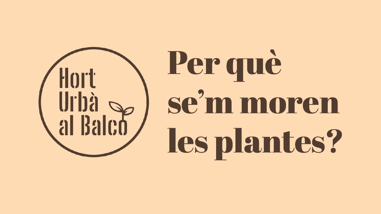 PER QUÈ SE'M MOREN LES PLANTES? | De l'hort urbà a les plantes decoratives de Hort Urbà al Balcó