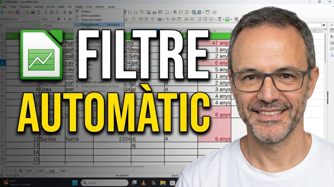 Com posar filtres automàtics amb Libreoffice Calc de Xavier Àgueda COMPETIC