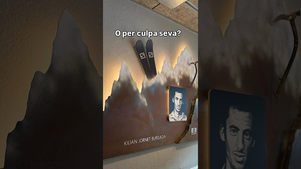 Tot culpa meva de Esteve Rovira