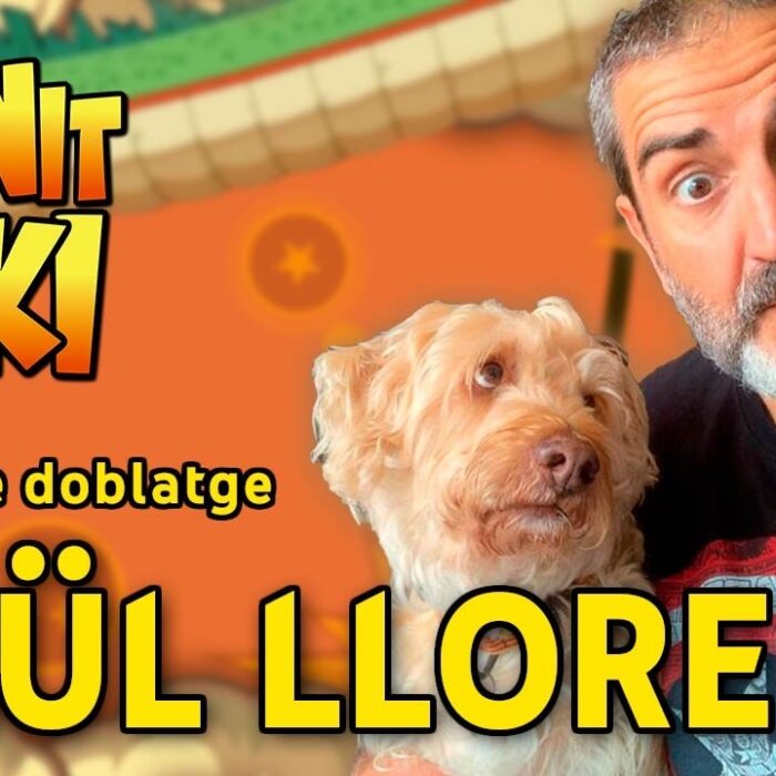 Principal de