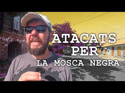 Sense GPS per RÚSSIA... i una invasió de MOSQUES | ASIA CENTRAL en 4x4 - CAP16. RUSSIA de ONtravelling
