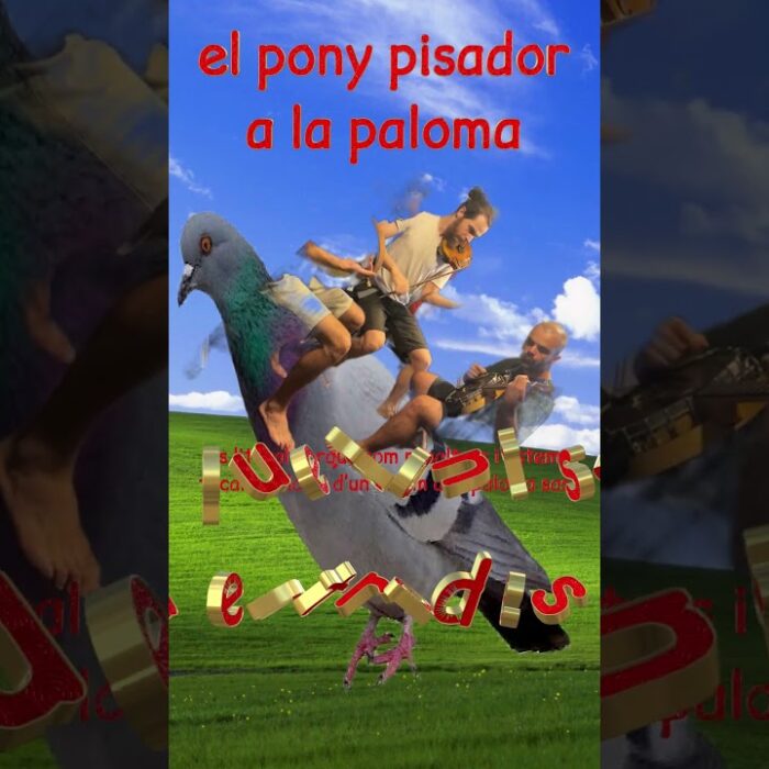 Principal de