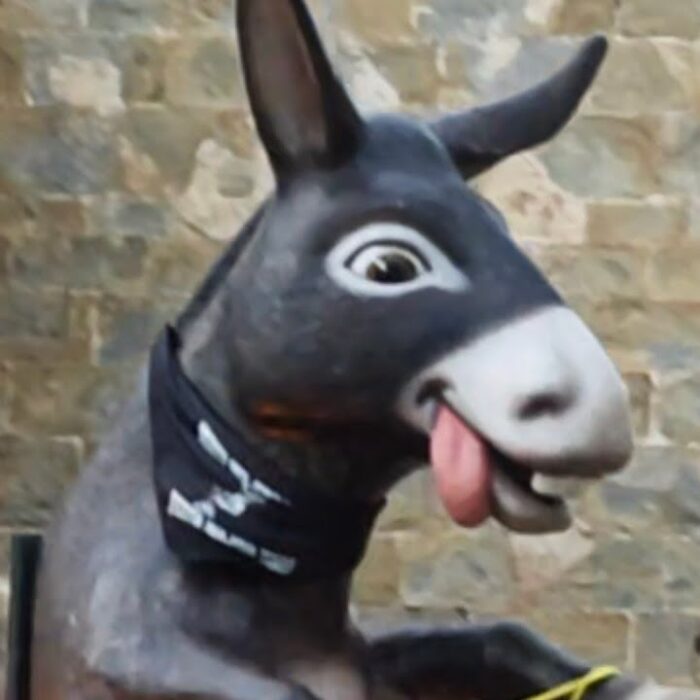 Principal de