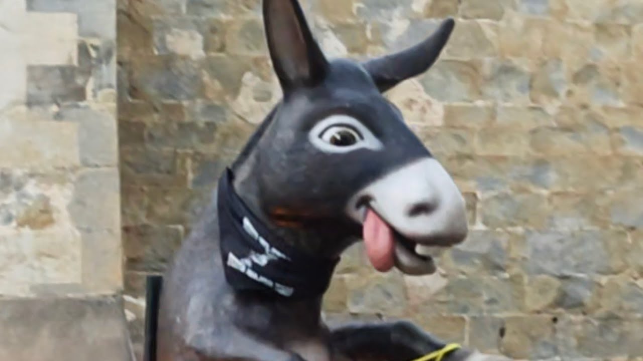 Cercavila amb els gegants i cabeçuts i penjada del Burro Savi a Sant Esteve d'en Bas de Xavier Àgueda COMPETIC