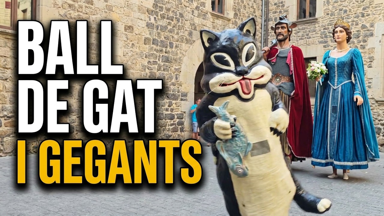 Ball del Gat i els gegants de Sant Miquel de Xavier Àgueda COMPETIC