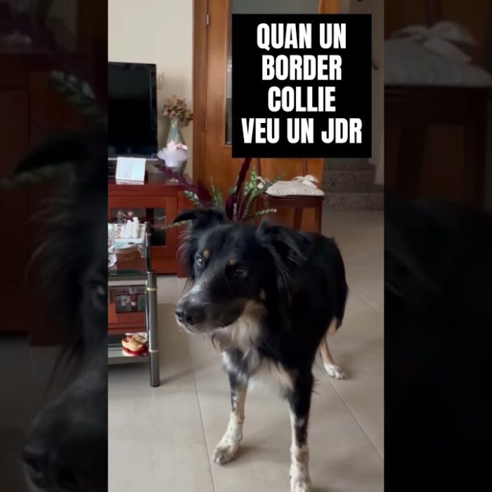Principal de