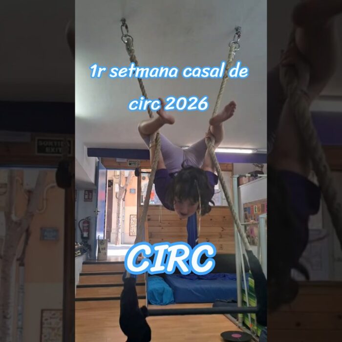 Principal de
