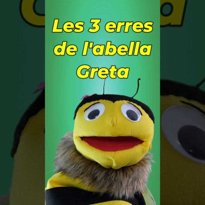 Principal de